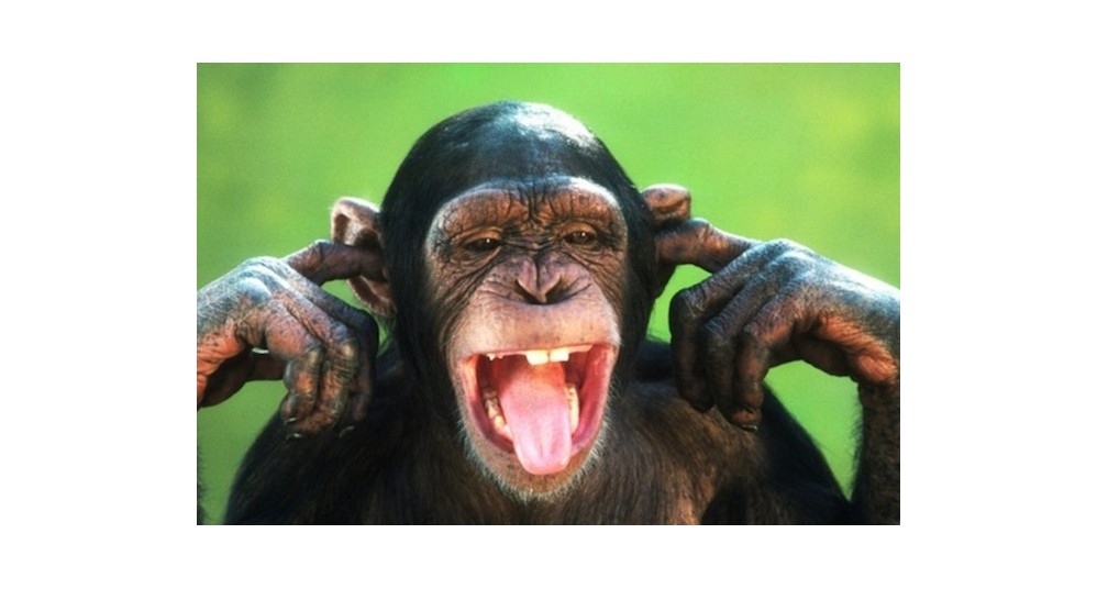 Aanwezigheid Advocaat Politieverhoor